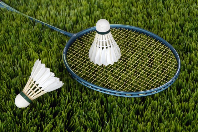 badminton-grass-racket-115016